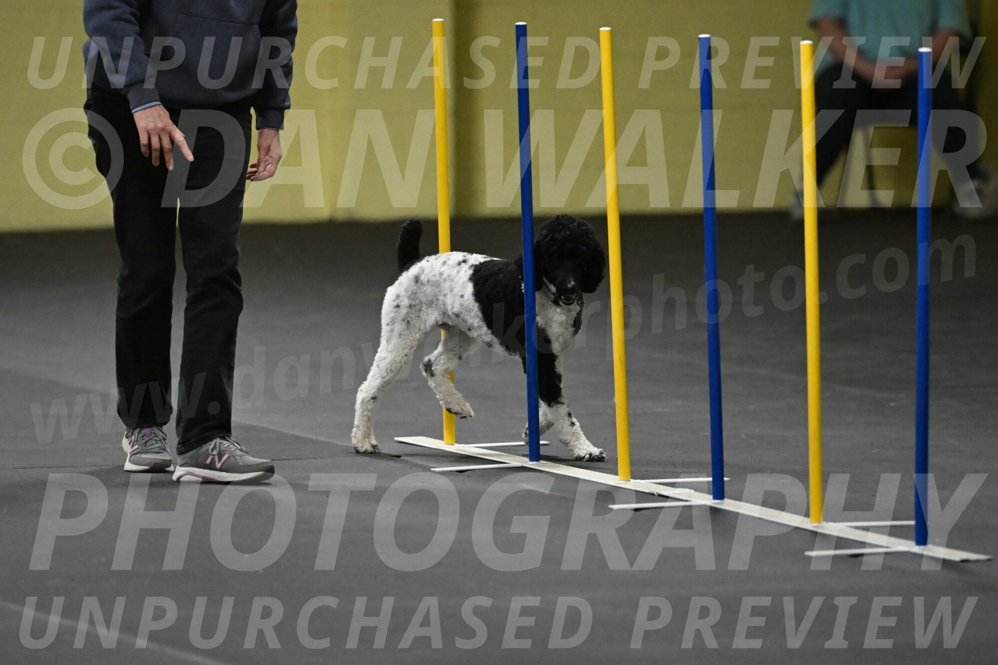 Jessie-DeBroux-10596