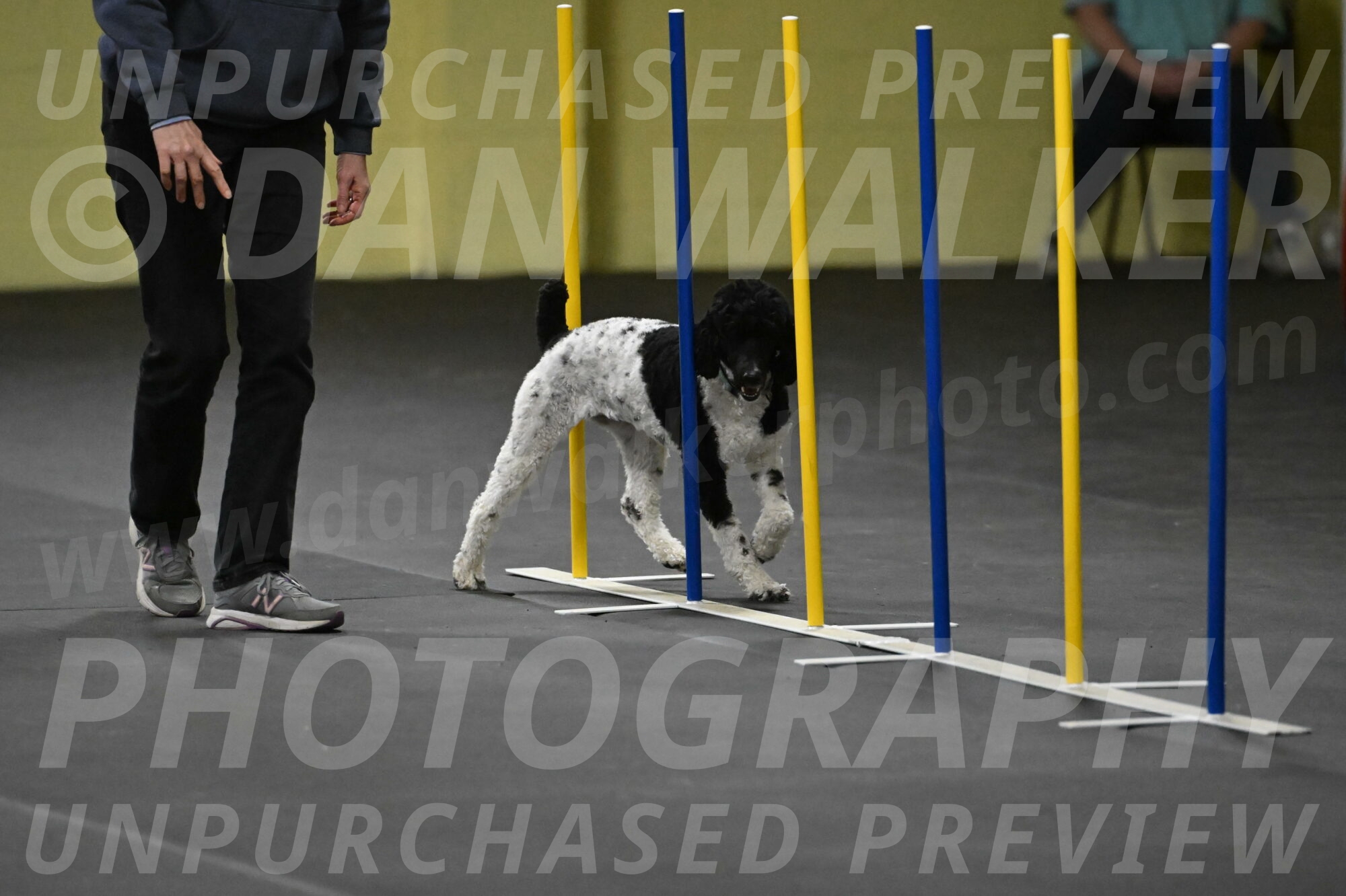 Jessie-DeBroux-10597