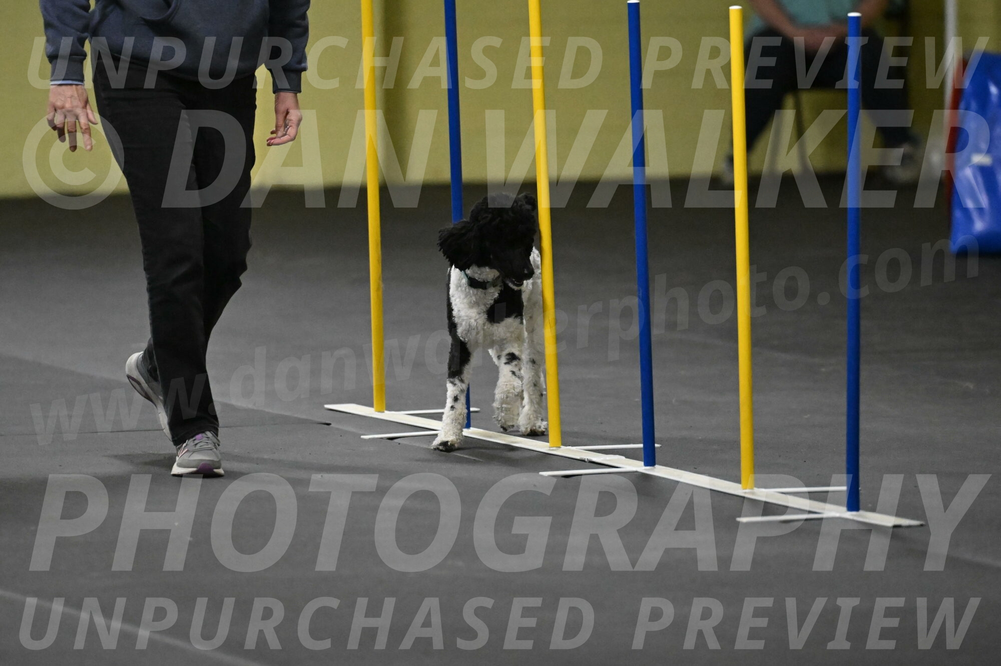 Jessie-DeBroux-10601