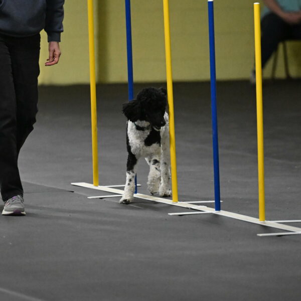 Jessie-DeBroux-10601