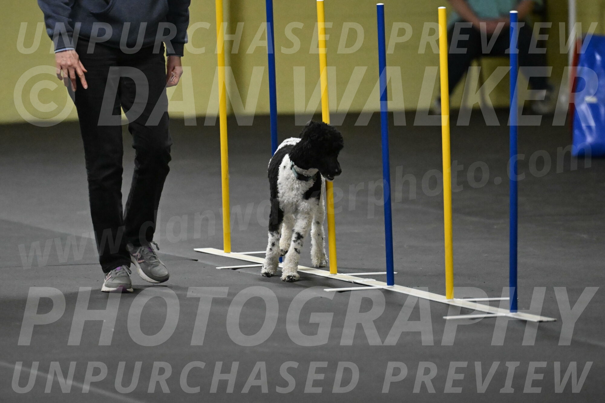 Jessie-DeBroux-10602