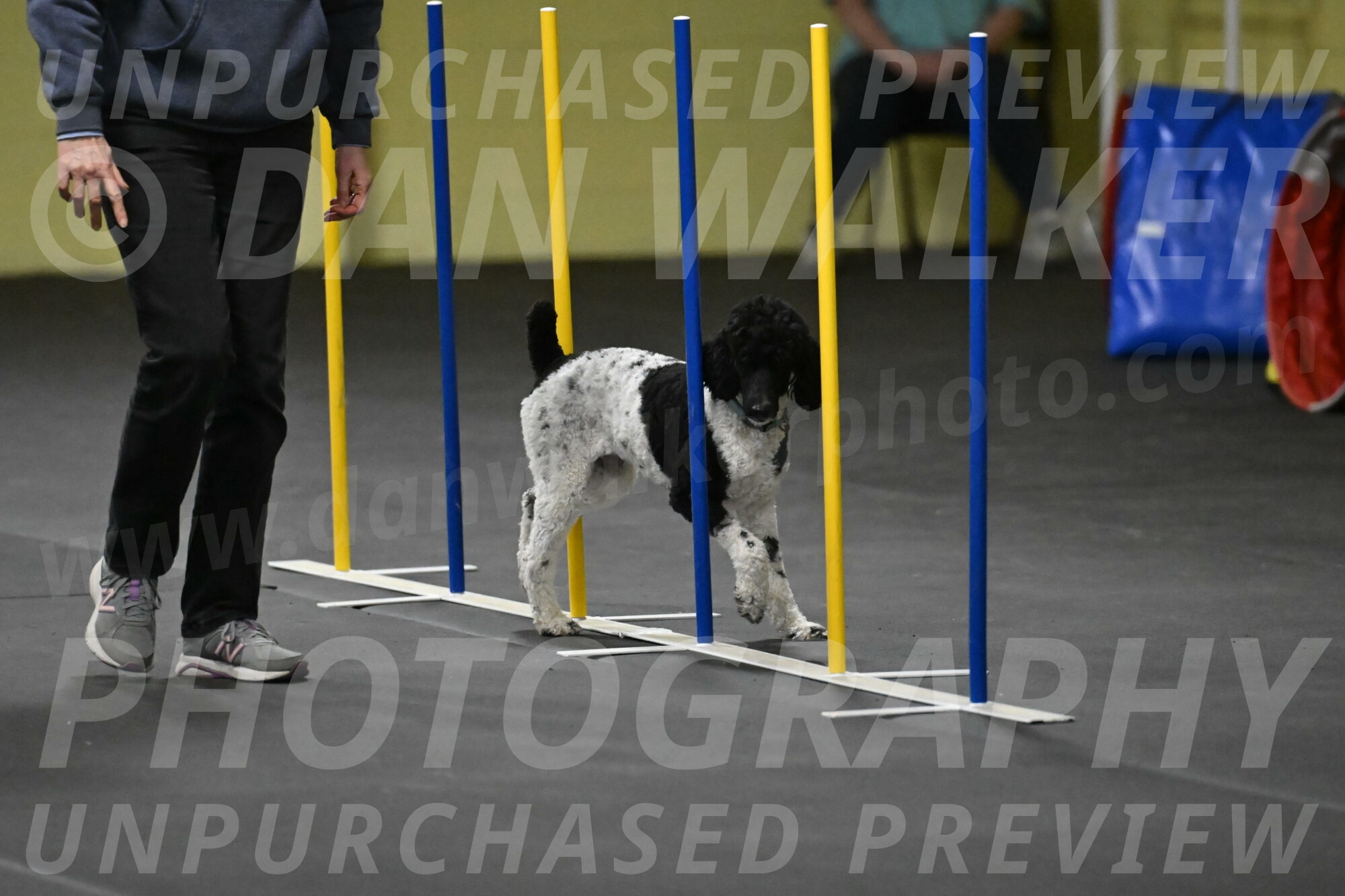 Jessie-DeBroux-10606