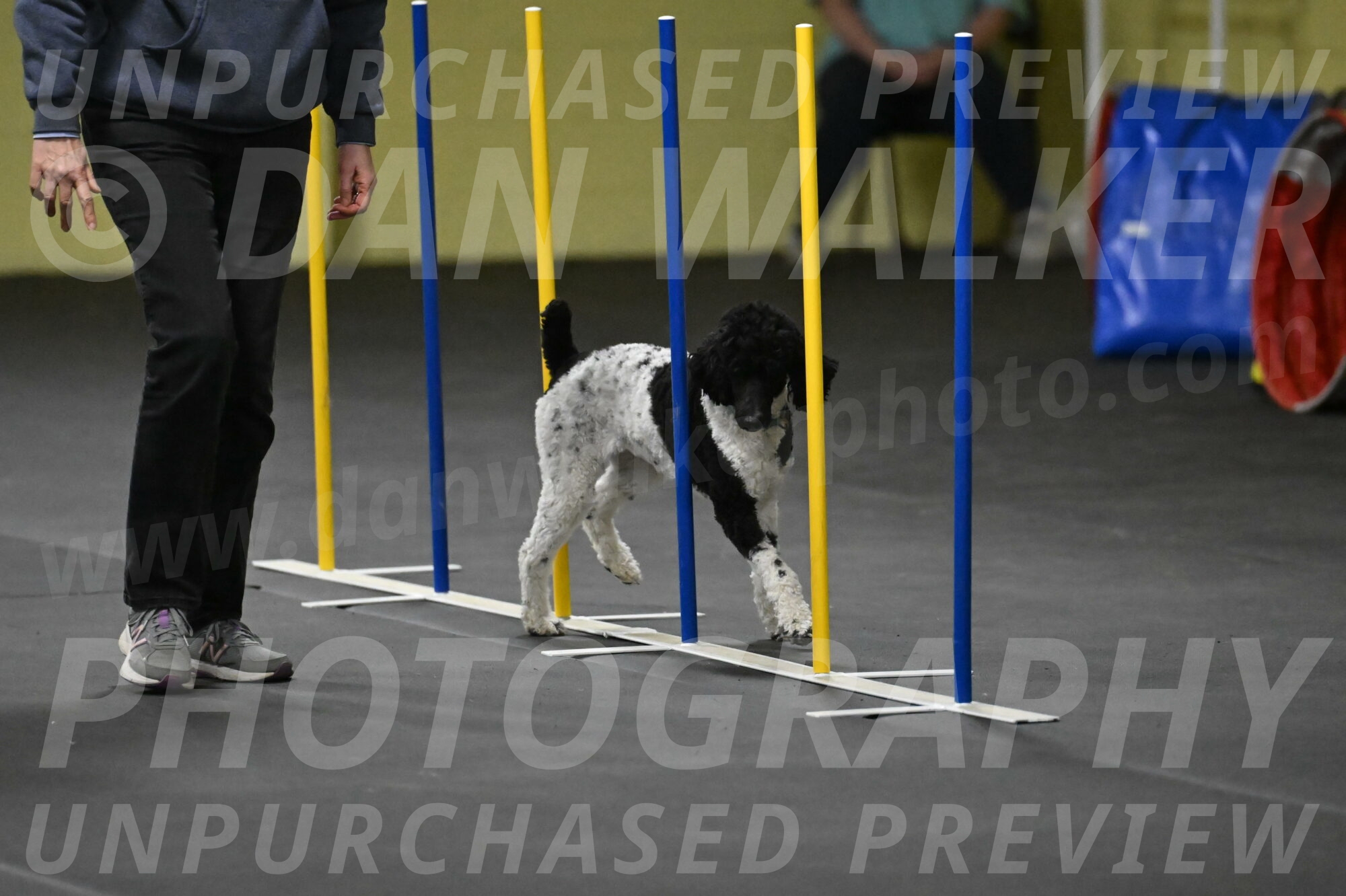 Jessie-DeBroux-10607