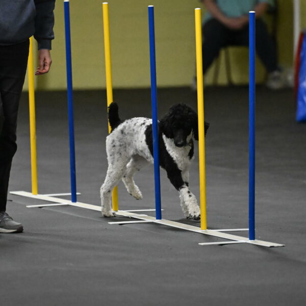 Jessie-DeBroux-10607