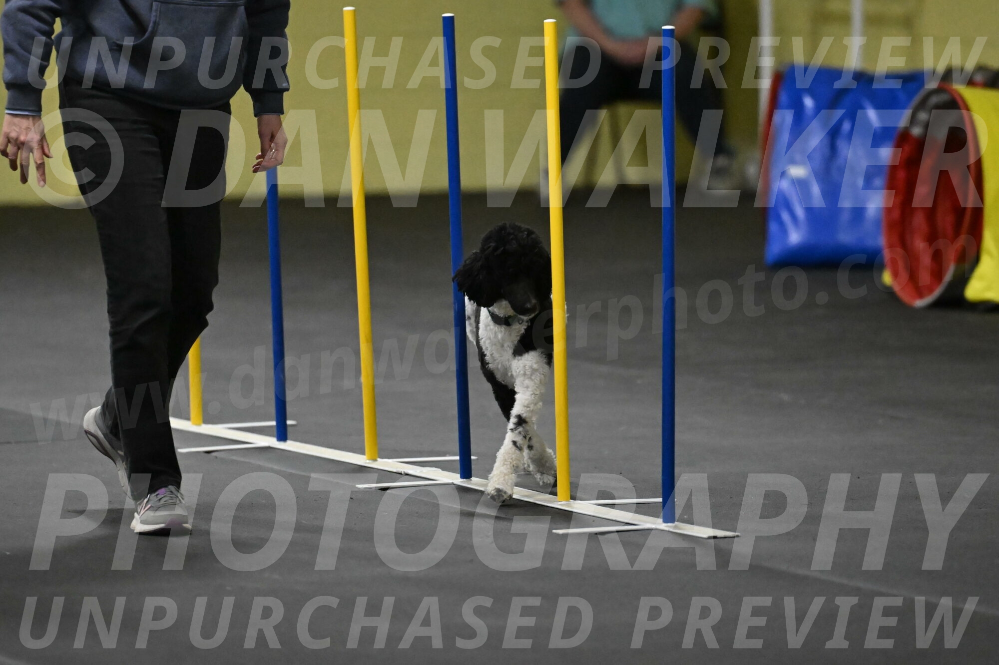 Jessie-DeBroux-10609