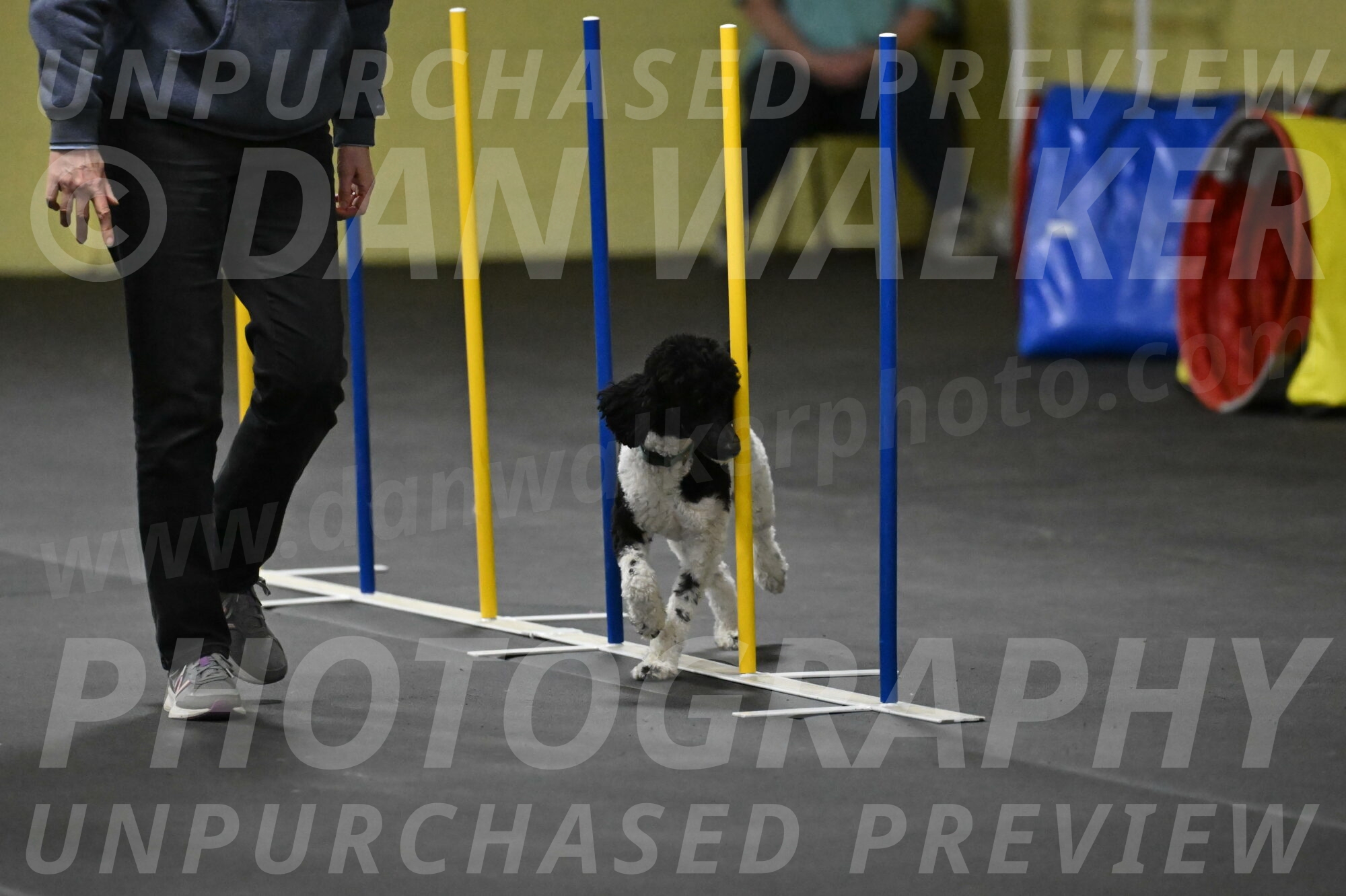 Jessie-DeBroux-10610