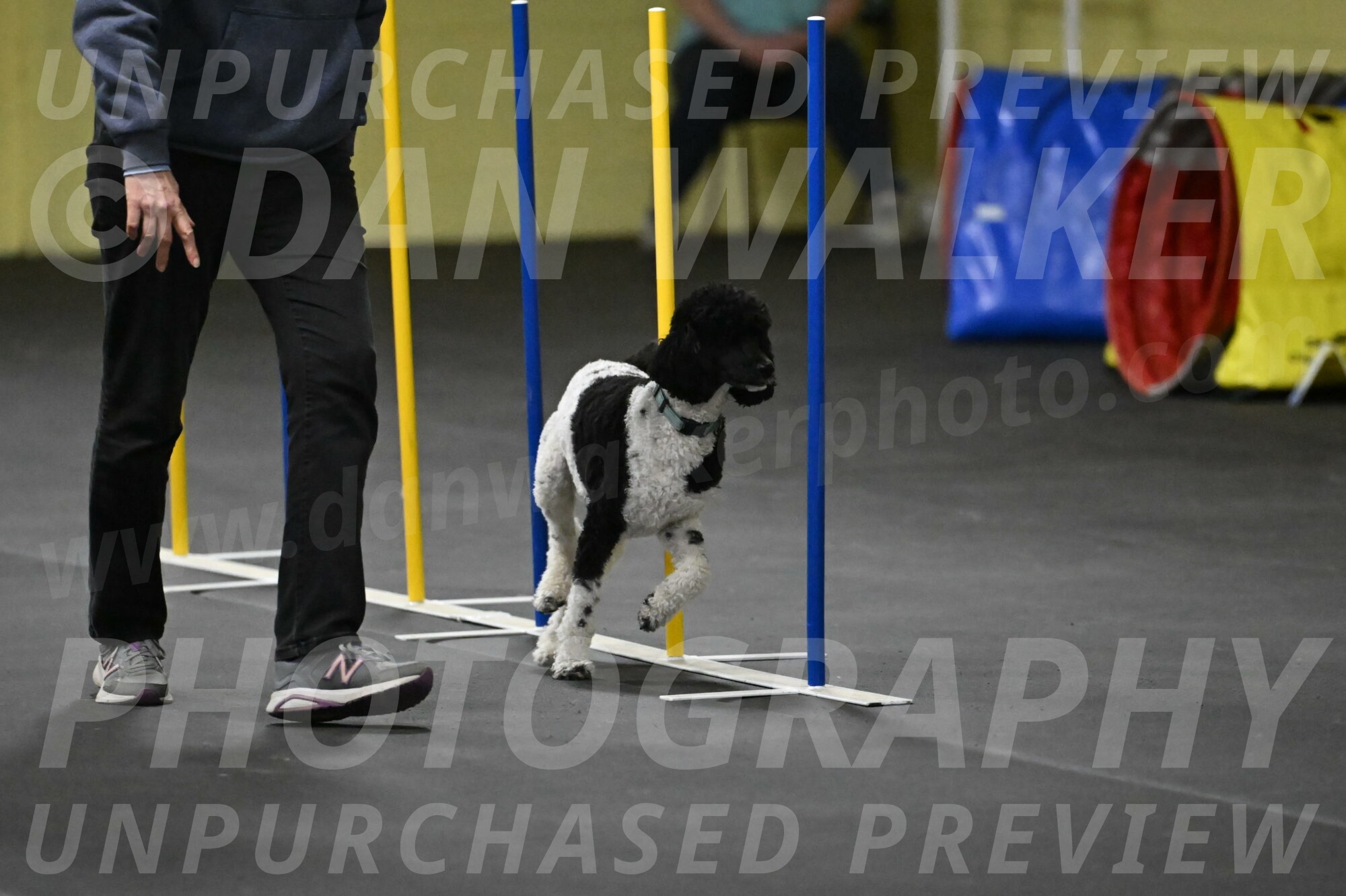 Jessie-DeBroux-10613