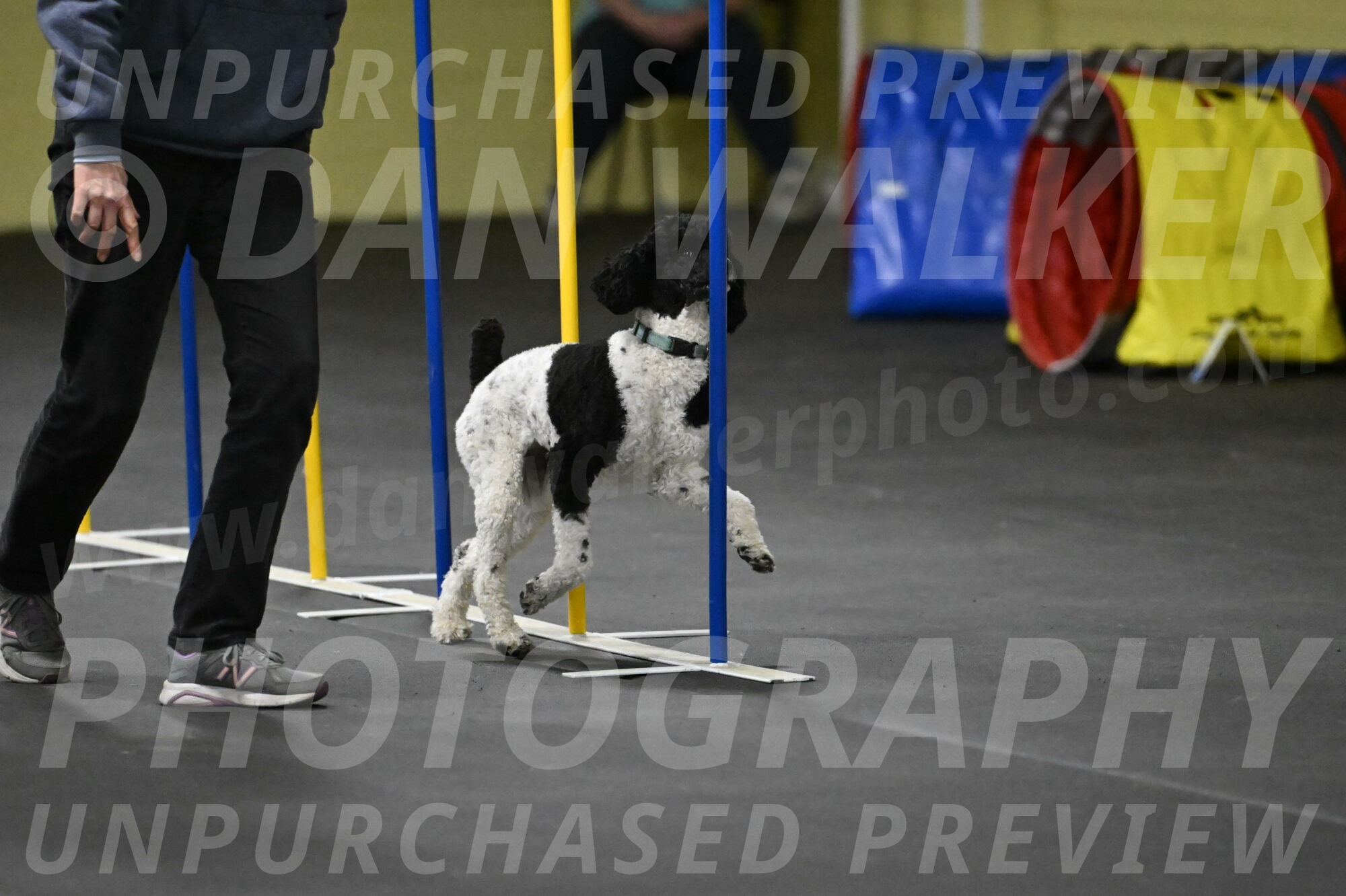 Jessie-DeBroux-10614