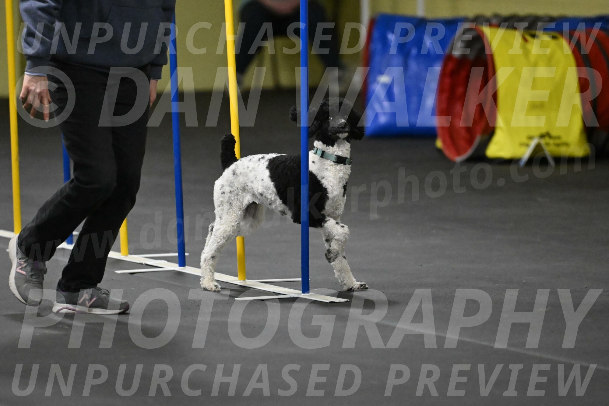 Jessie-DeBroux-10615