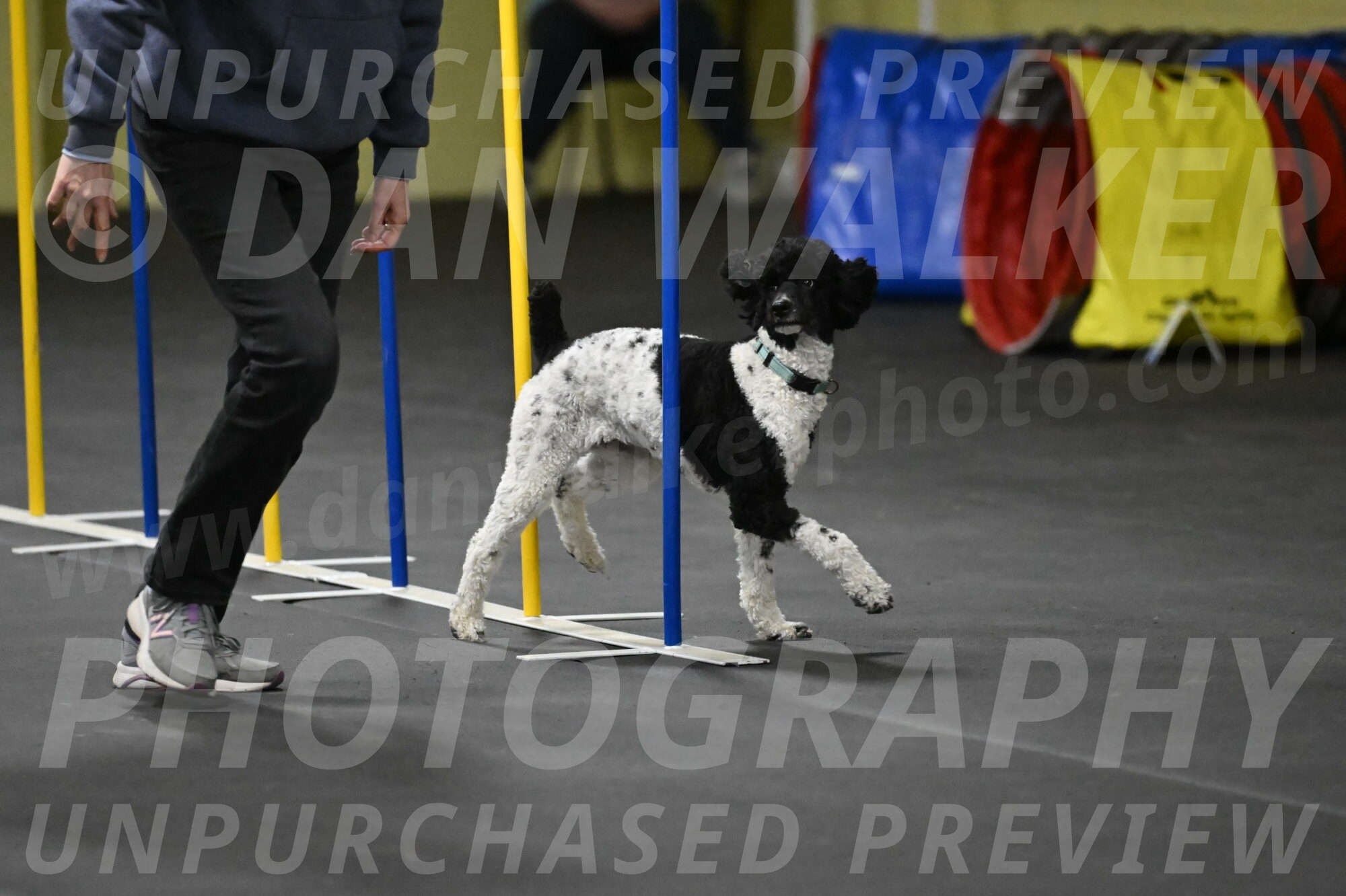 Jessie-DeBroux-10616