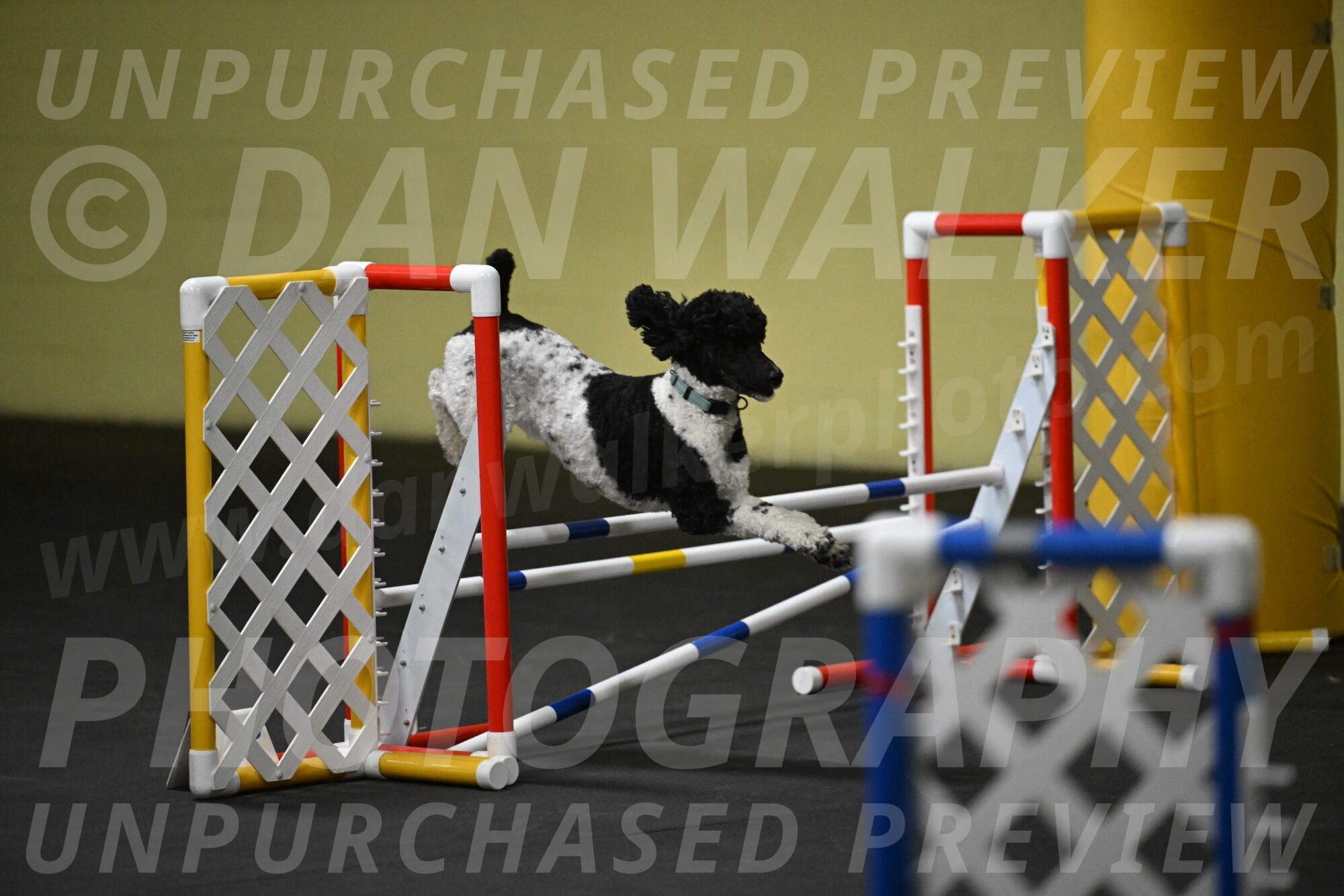 Jessie-DeBroux-10617