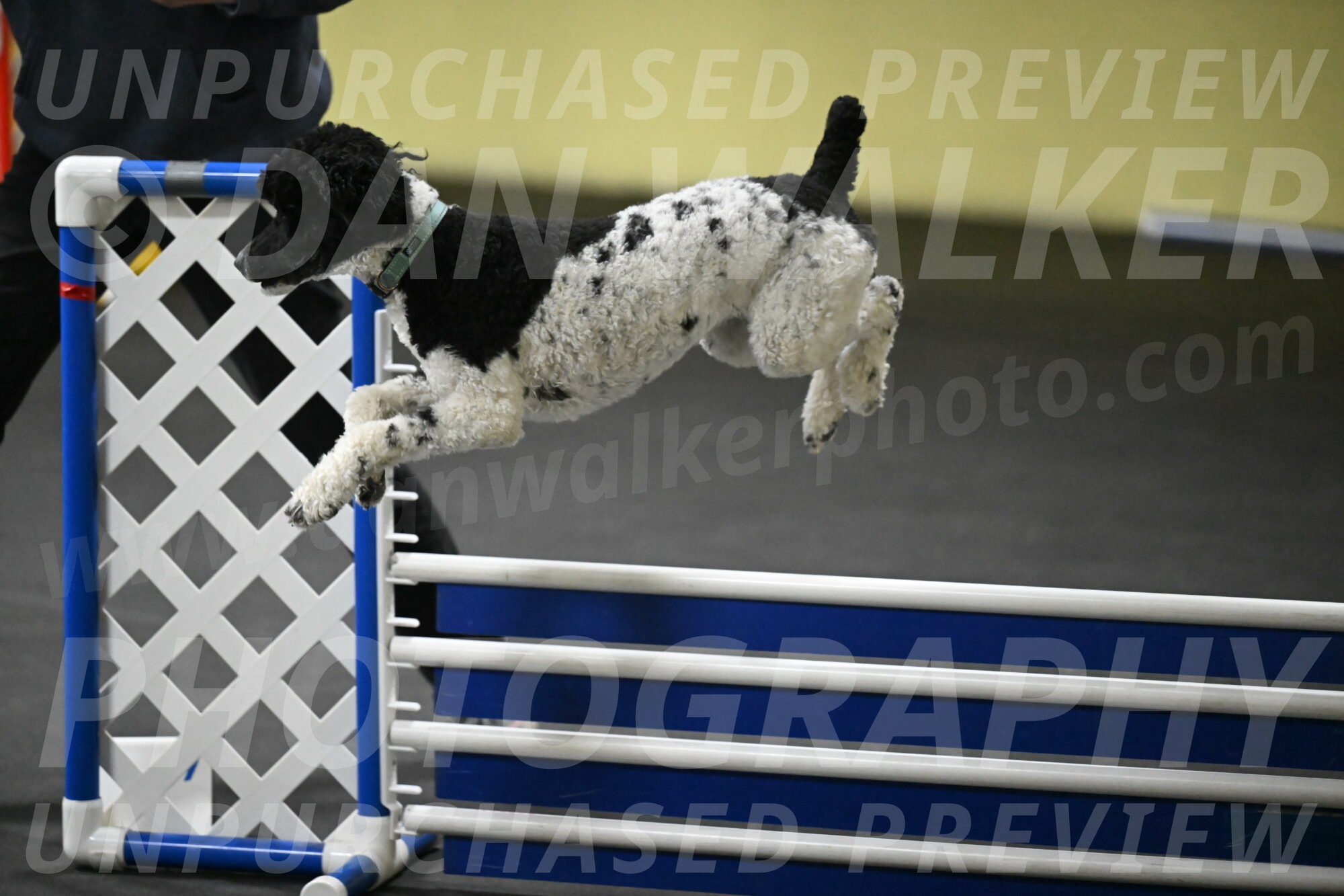 Jessie-DeBroux-10620