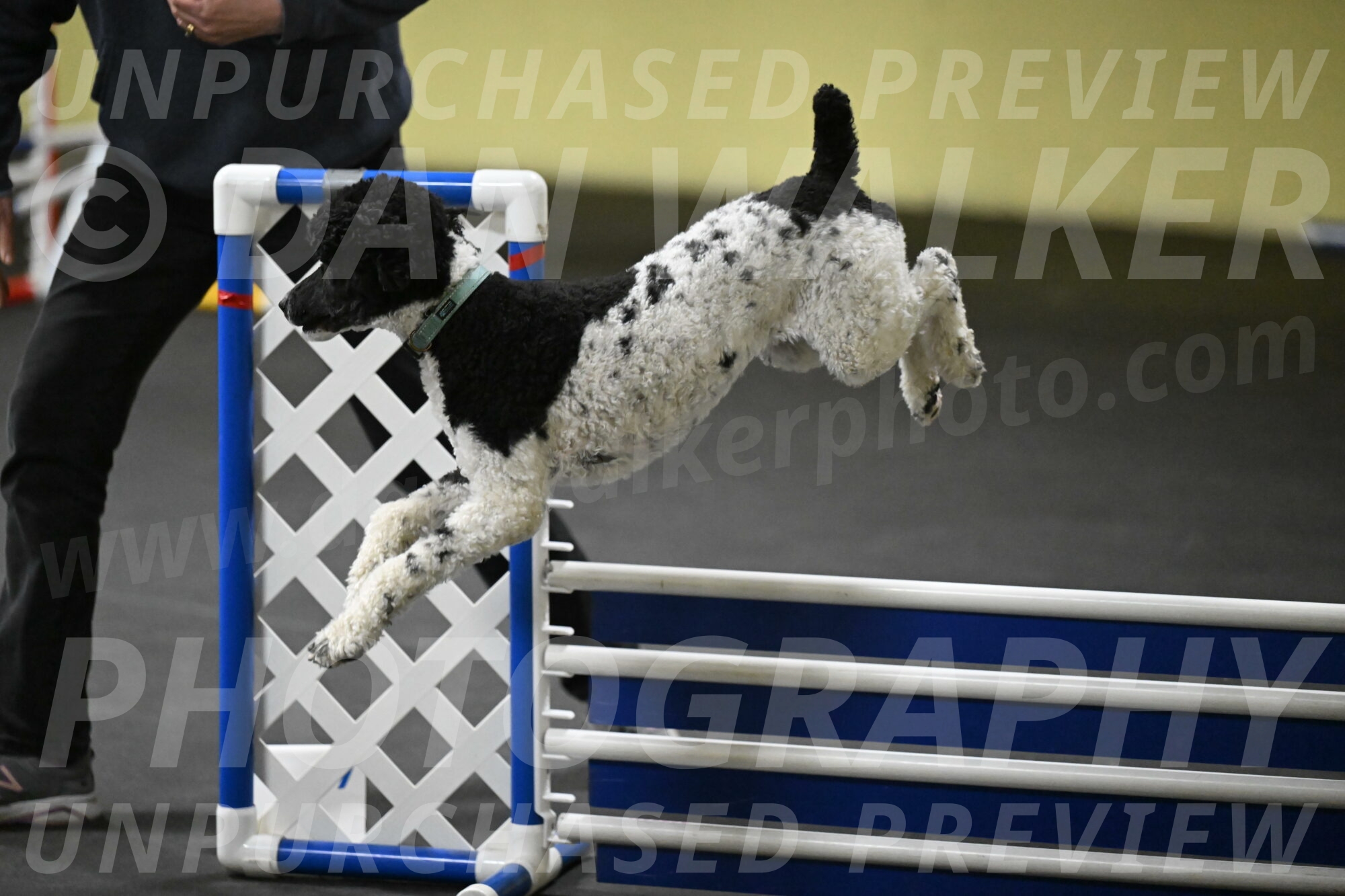 Jessie-DeBroux-10621