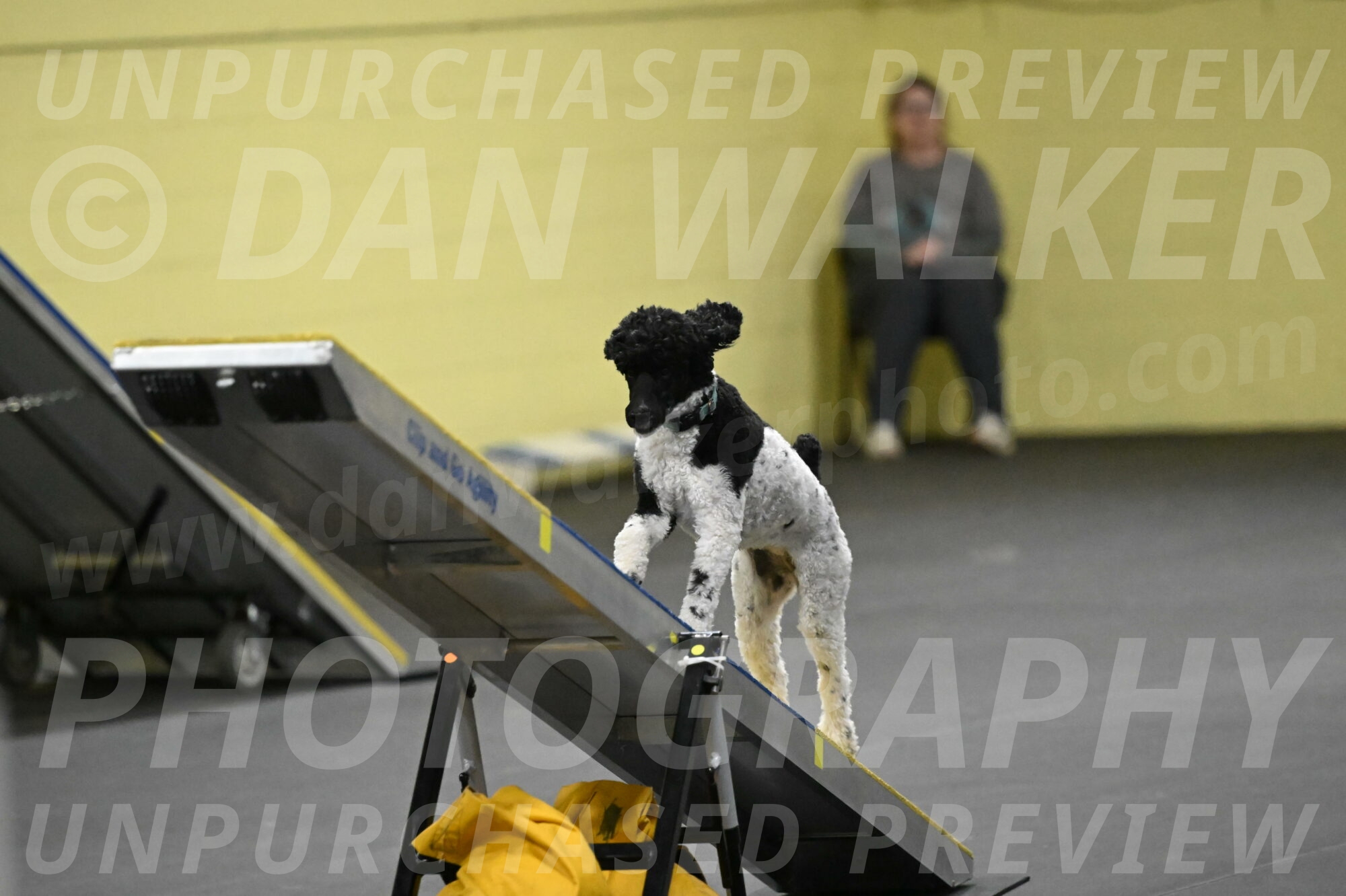 Jessie-DeBroux-10624