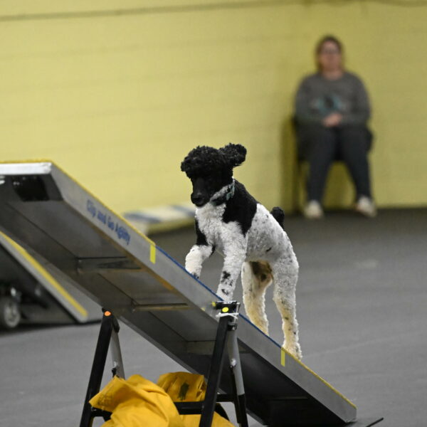 Jessie-DeBroux-10624