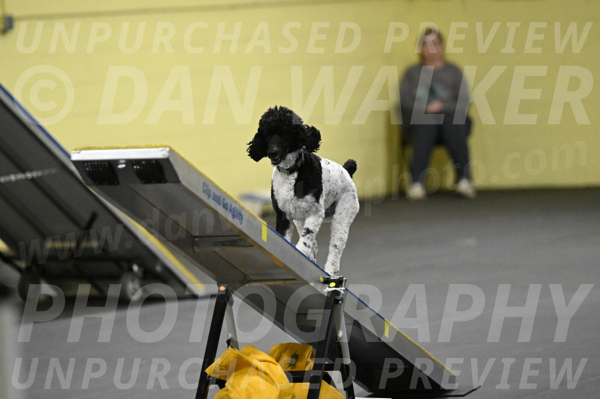 Jessie-DeBroux-10625