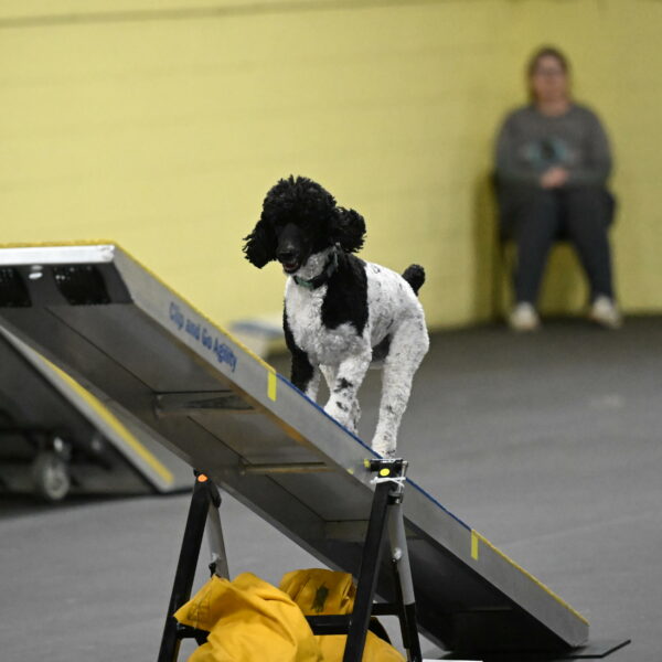 Jessie-DeBroux-10625