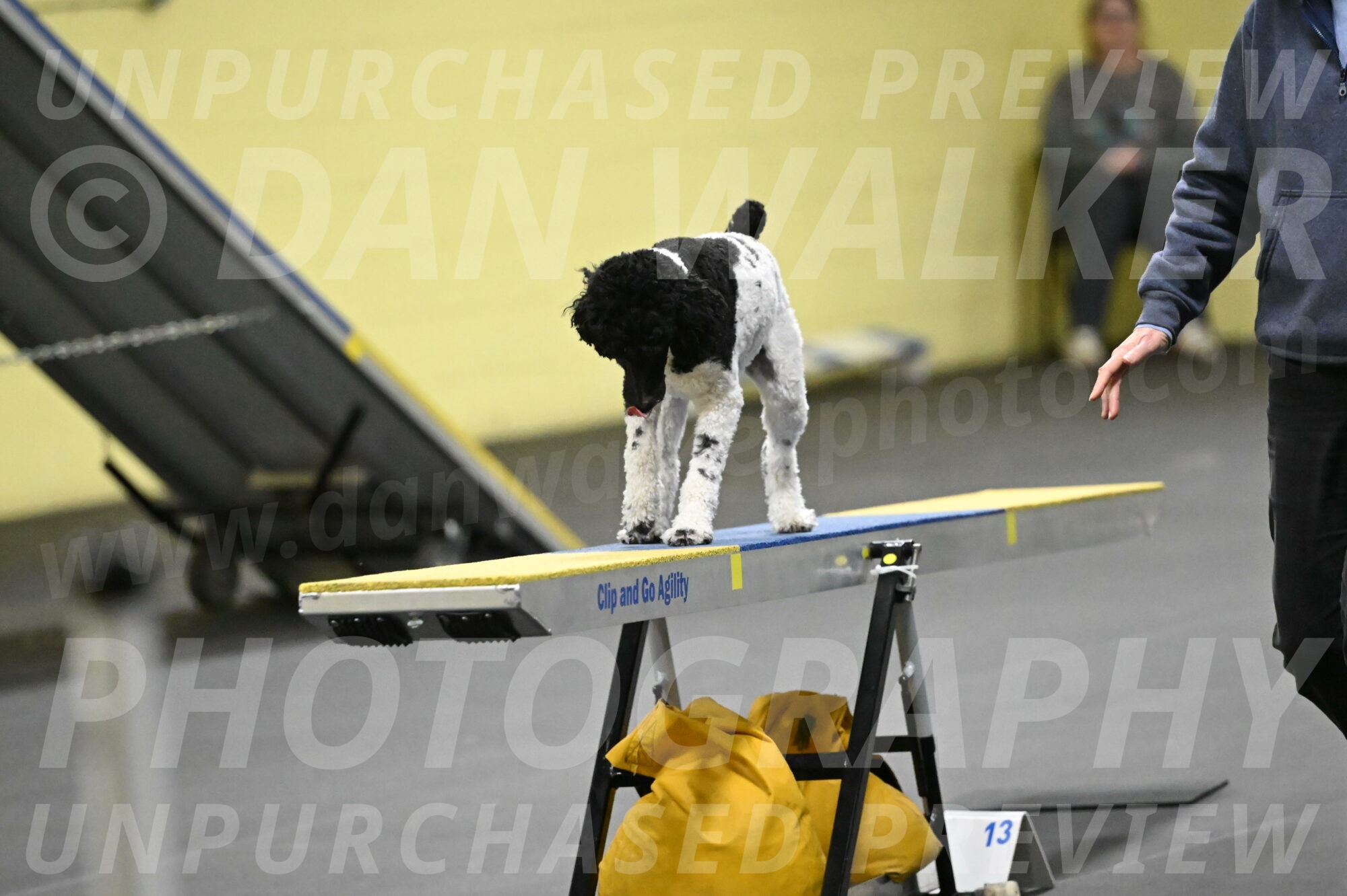 Jessie-DeBroux-10634