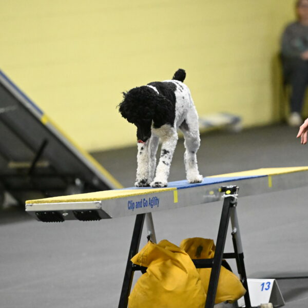 Jessie-DeBroux-10634