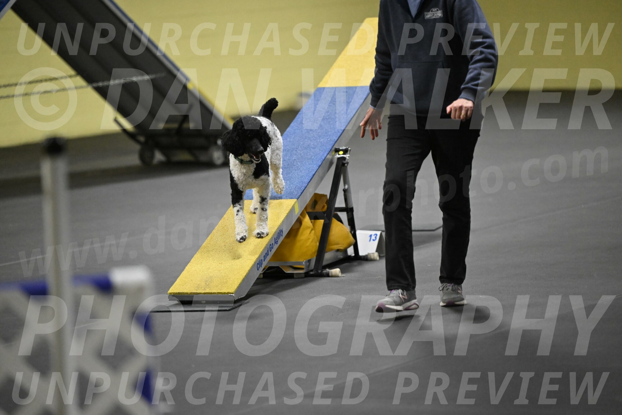 Jessie-DeBroux-10635