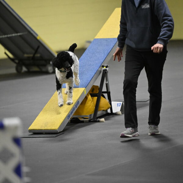 Jessie-DeBroux-10635