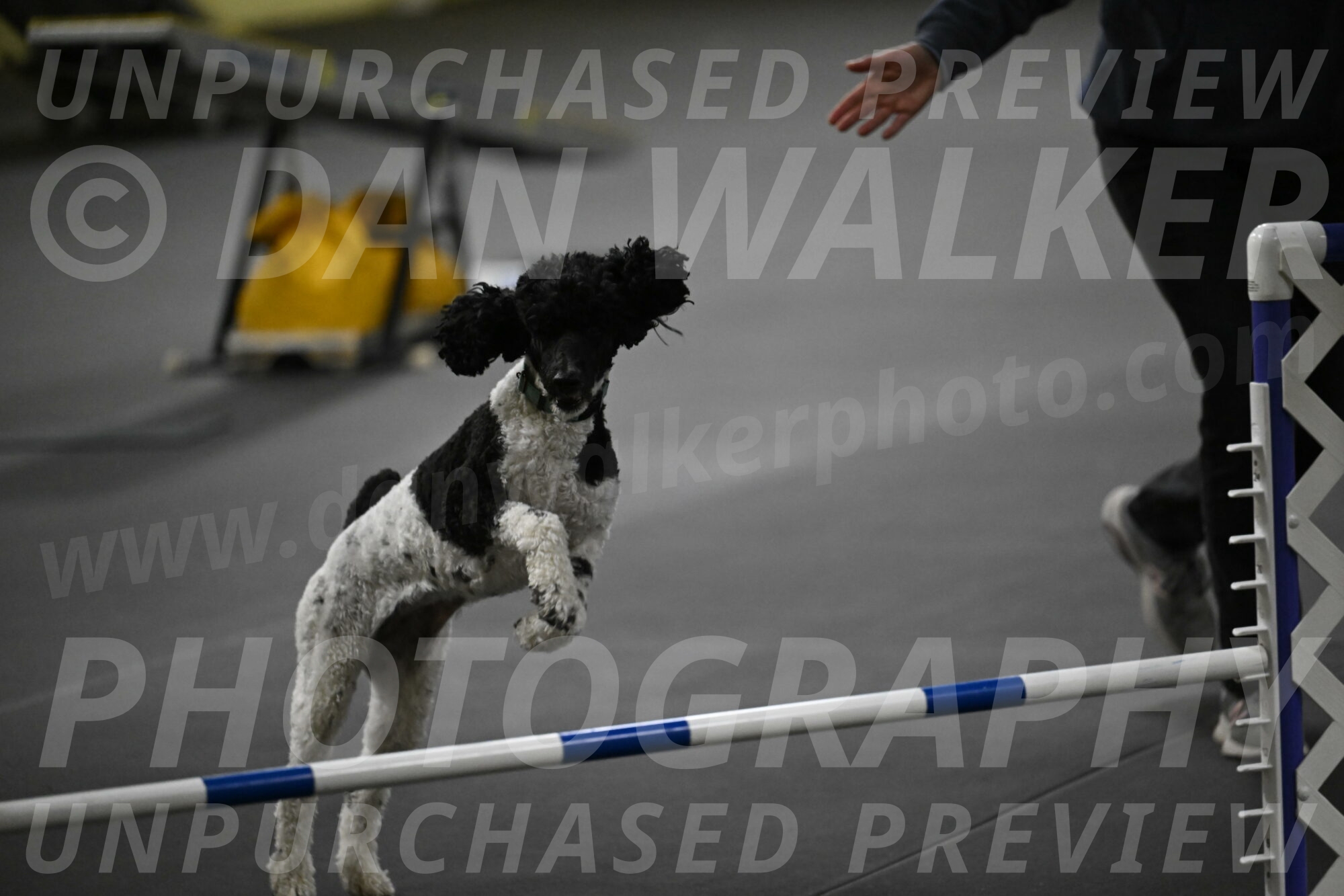 Jessie-DeBroux-10642