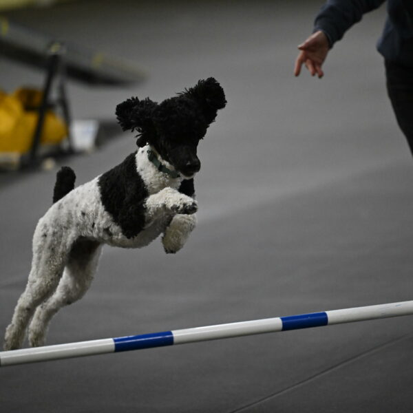 Jessie-DeBroux-10643