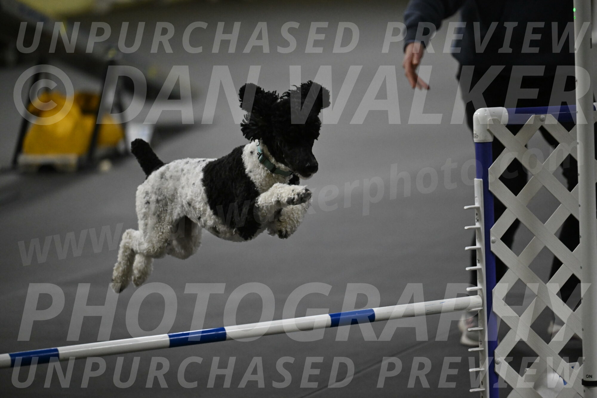 Jessie-DeBroux-10644