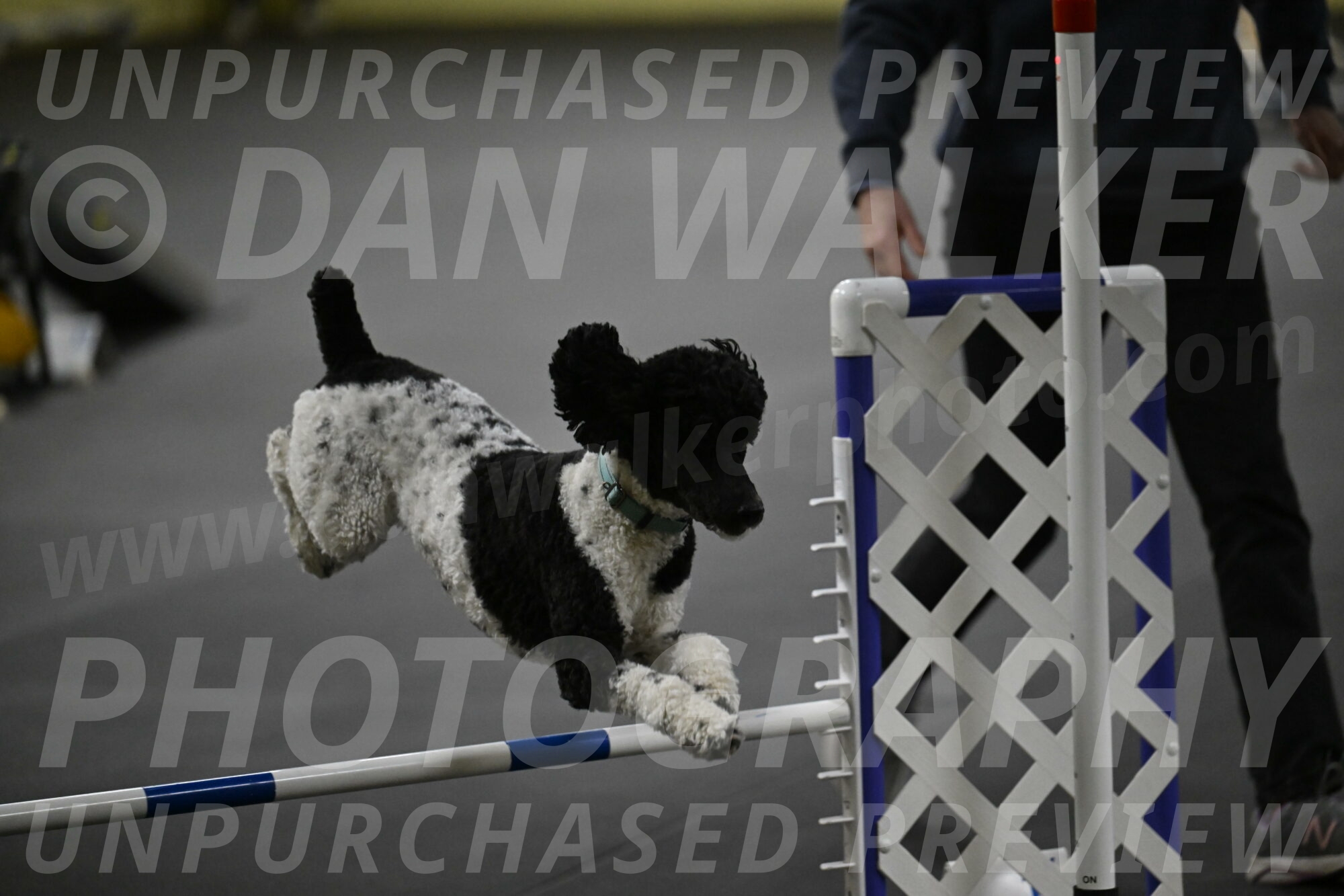 Jessie-DeBroux-10646