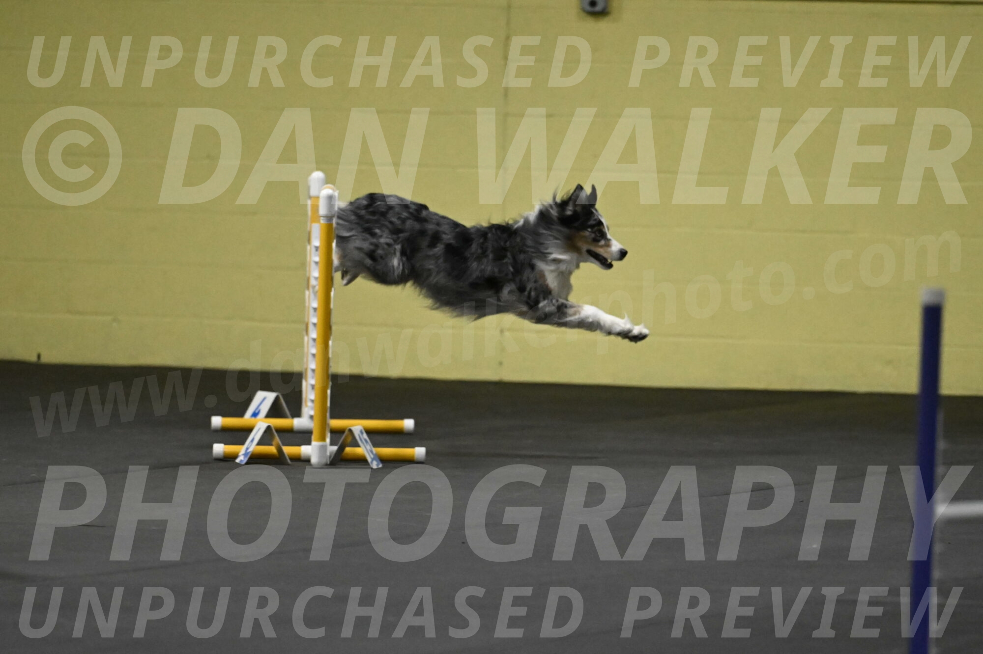 Kaiden-Armbrust-05605