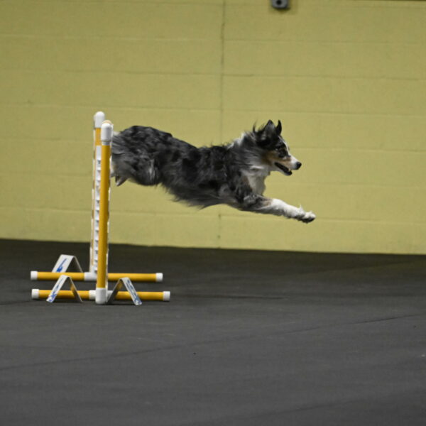 Kaiden-Armbrust-05605