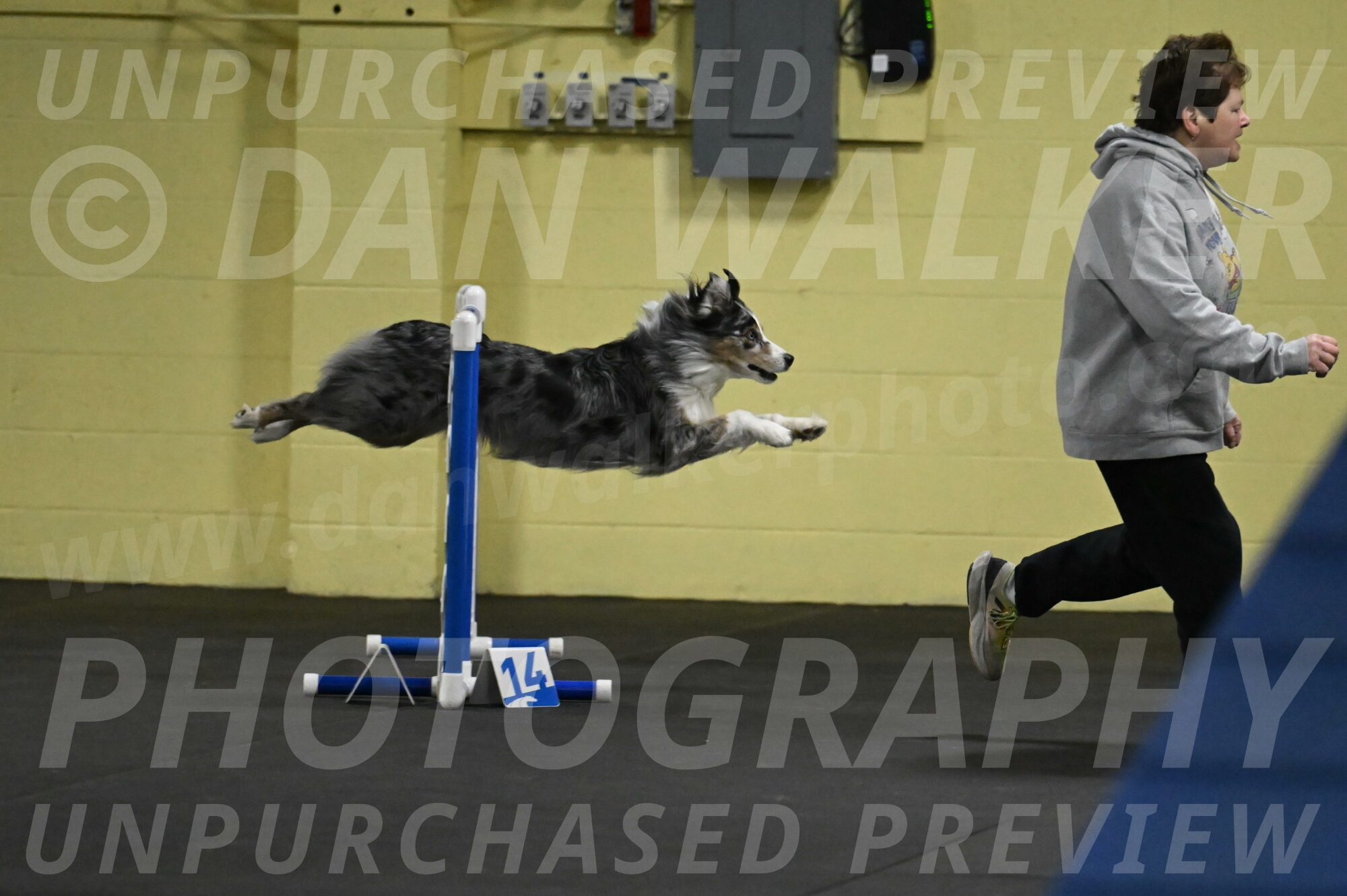 Kaiden-Armbrust-05608