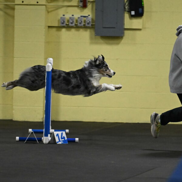 Kaiden-Armbrust-05608