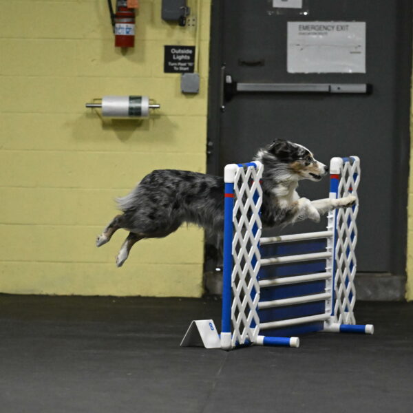 Kaiden-Armbrust-05612