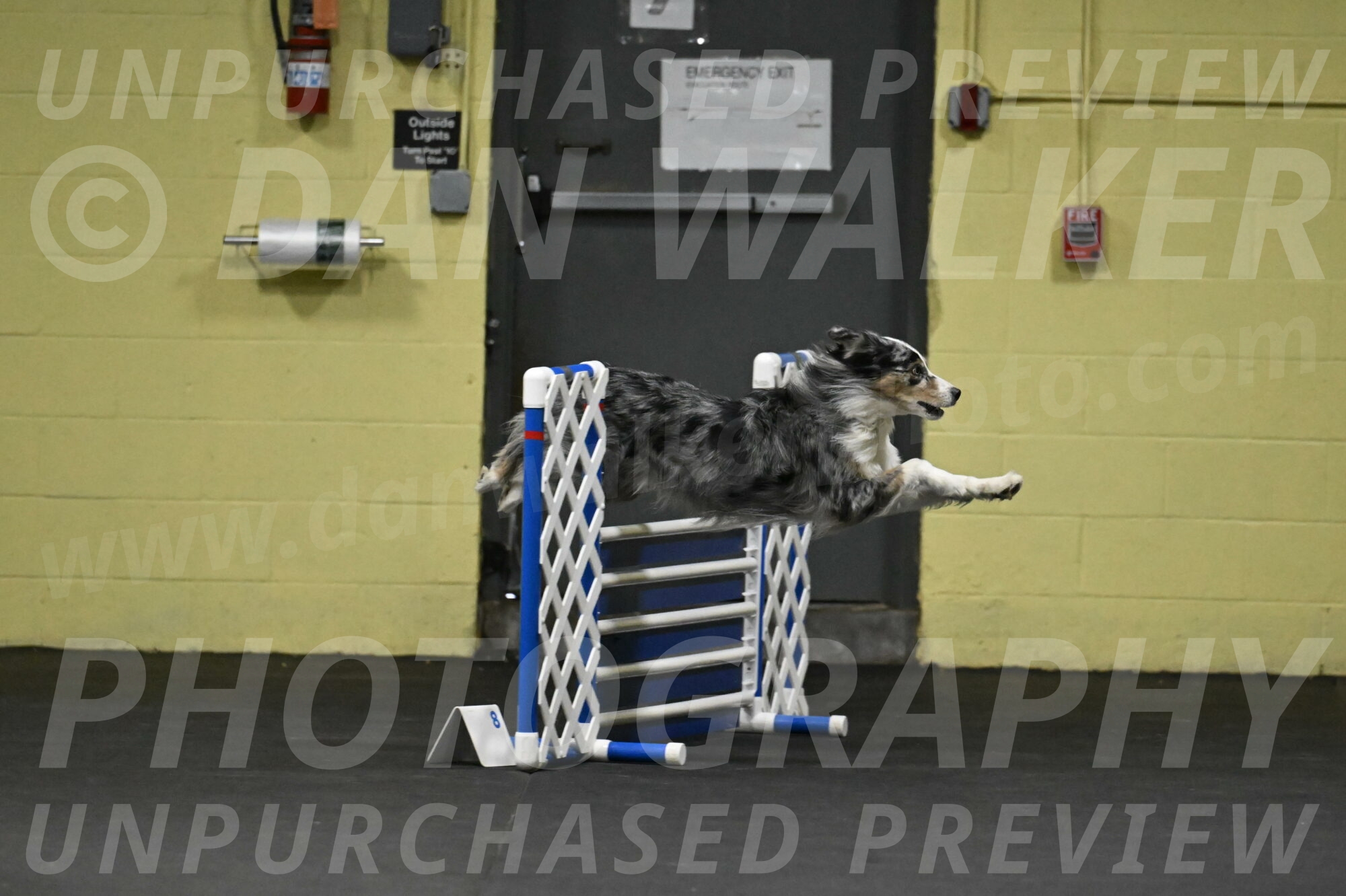 Kaiden-Armbrust-05613