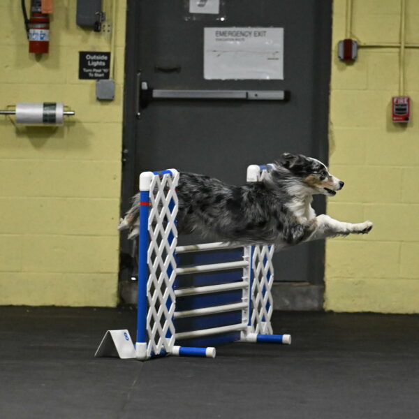 Kaiden-Armbrust-05613