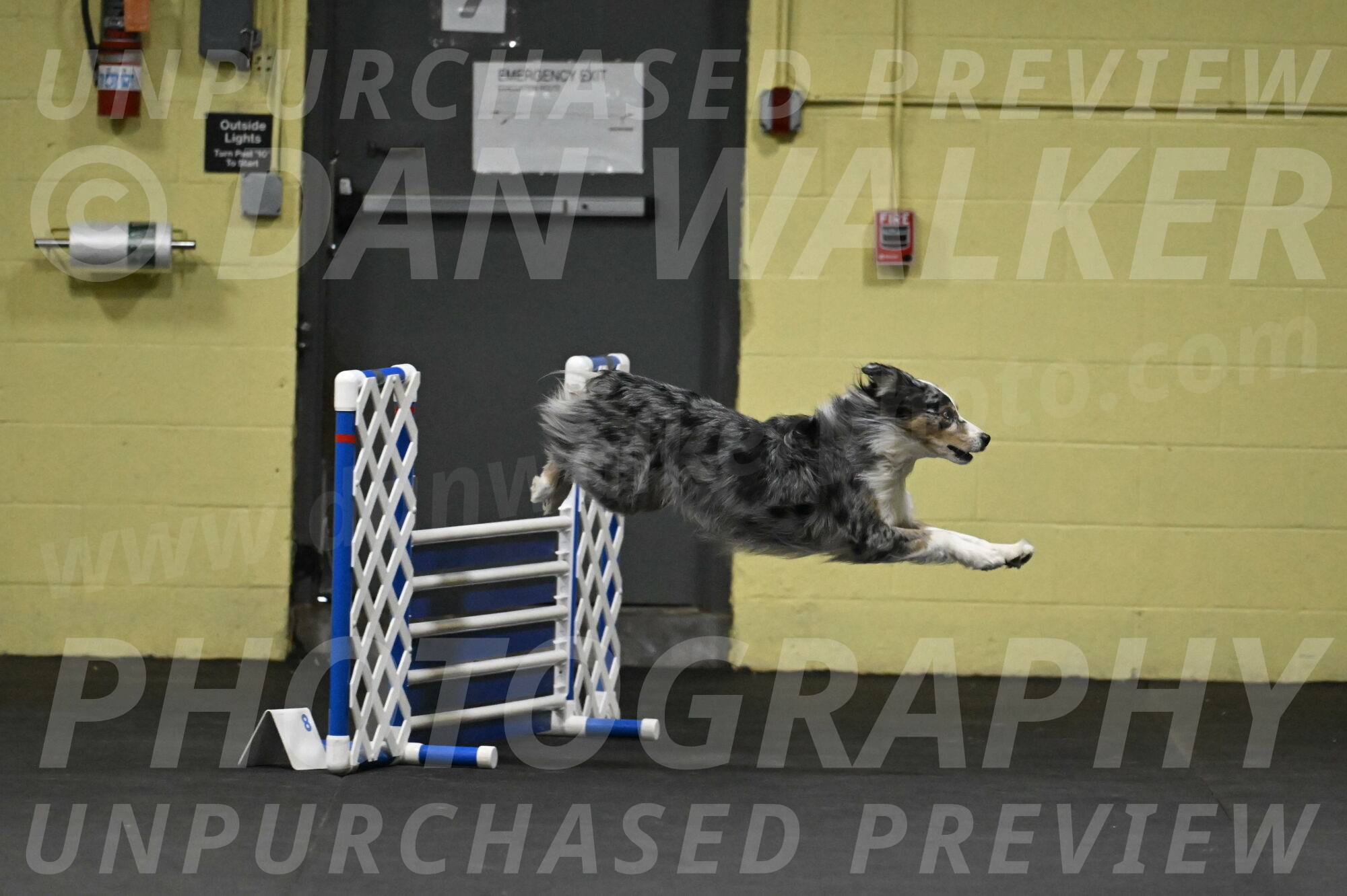 Kaiden-Armbrust-05614