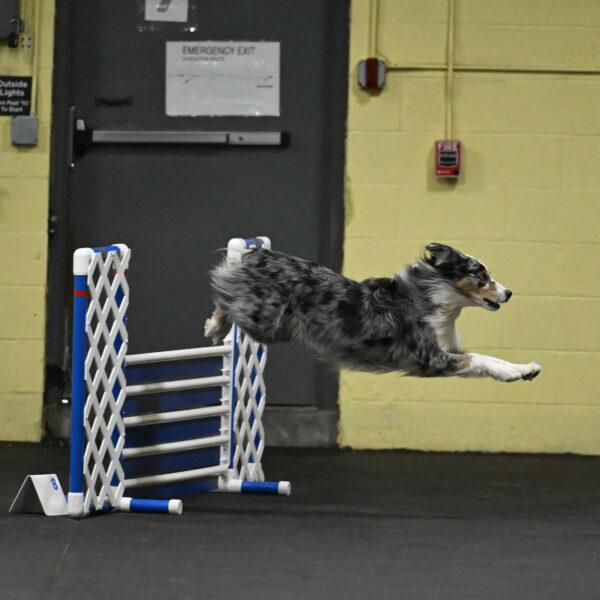 Kaiden-Armbrust-05614