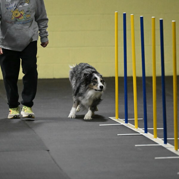 Kaiden-Armbrust-05618