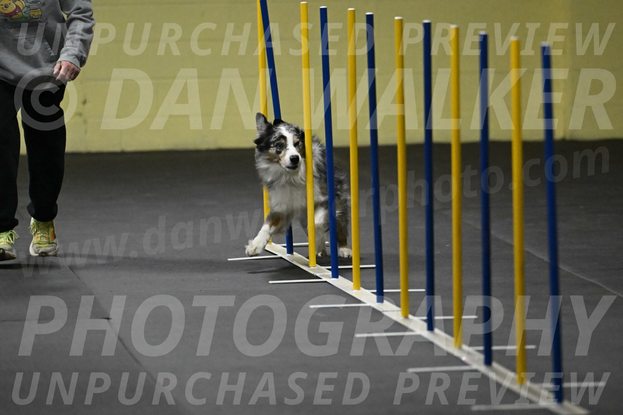 Kaiden-Armbrust-05623