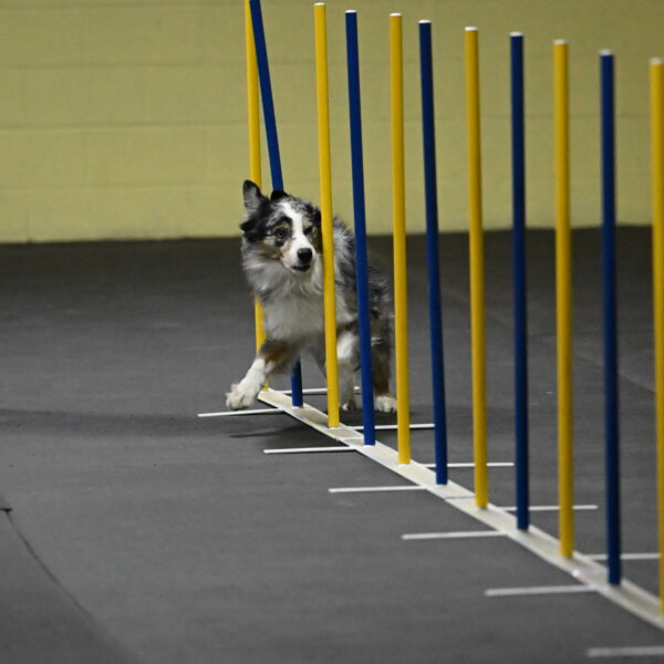 Kaiden-Armbrust-05623