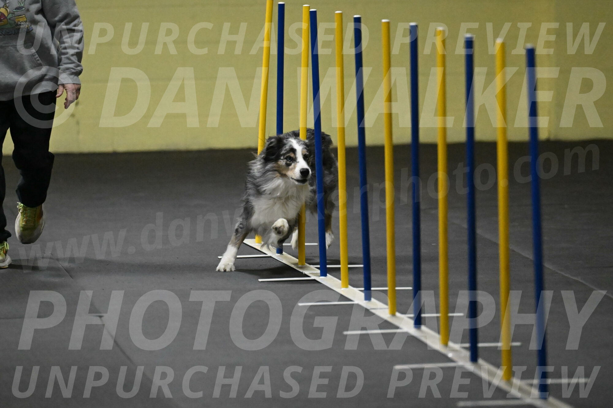 Kaiden-Armbrust-05624