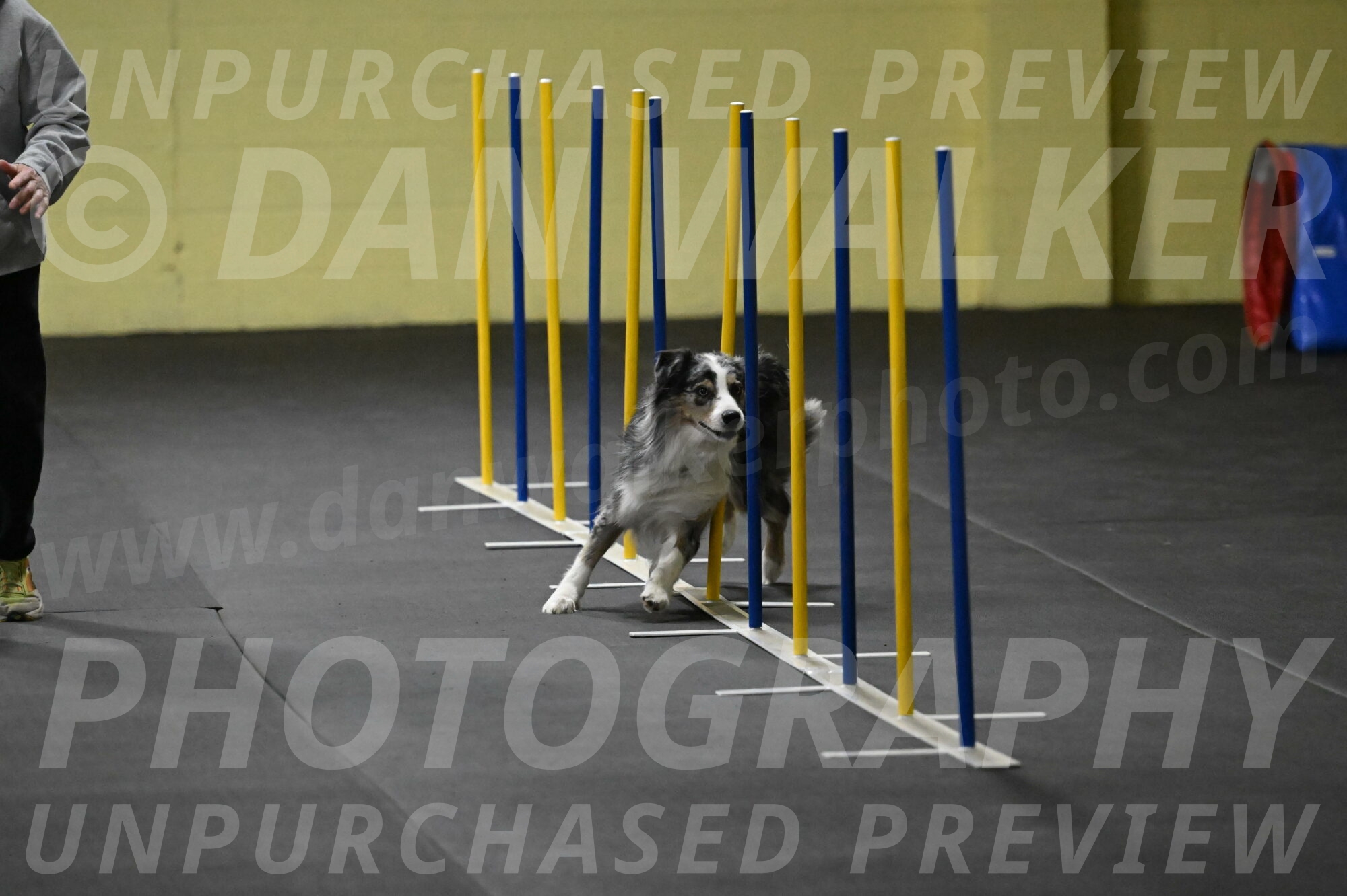 Kaiden-Armbrust-05637