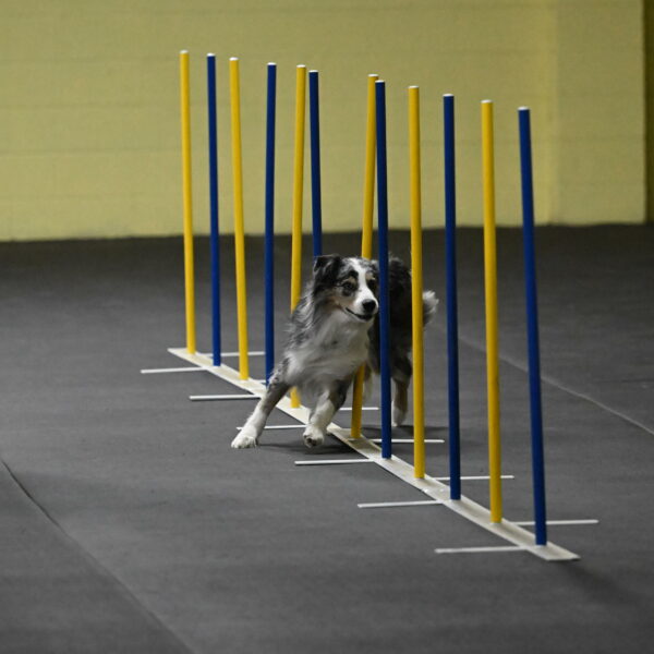 Kaiden-Armbrust-05637