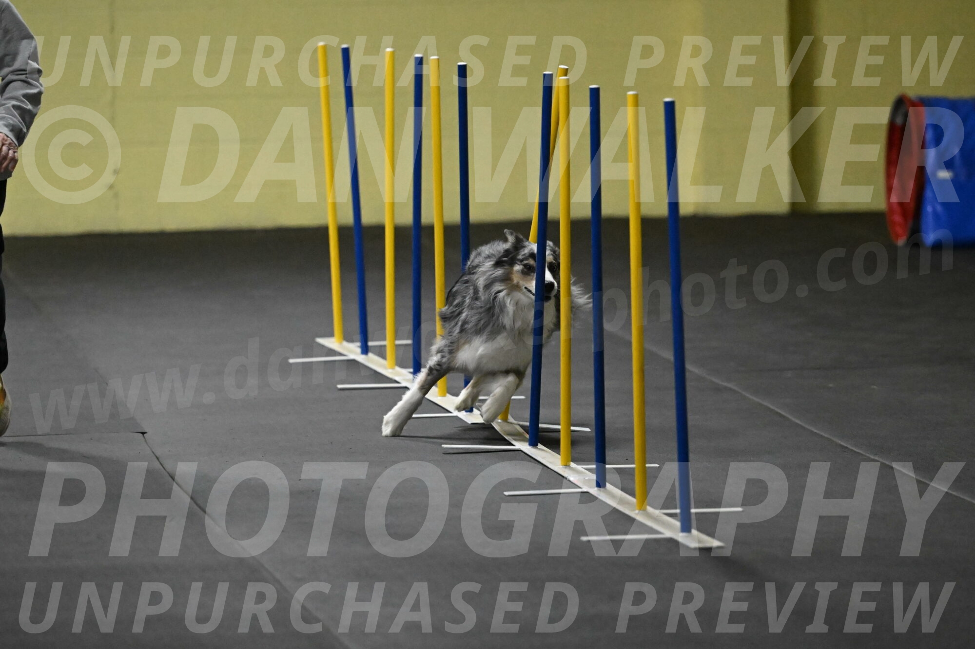 Kaiden-Armbrust-05638