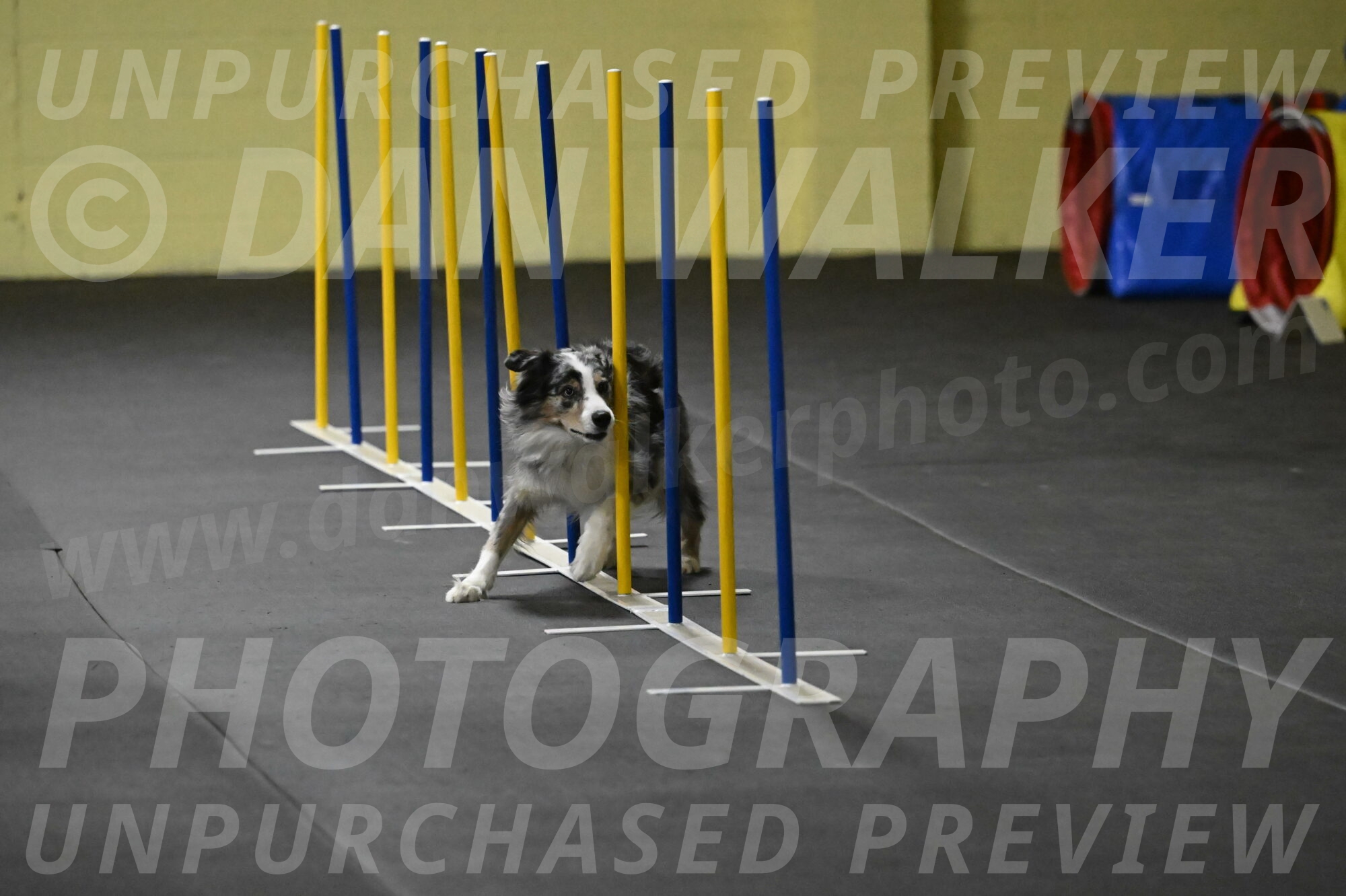 Kaiden-Armbrust-05642