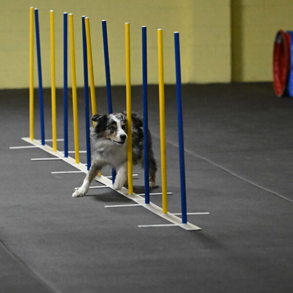 Kaiden-Armbrust-05642