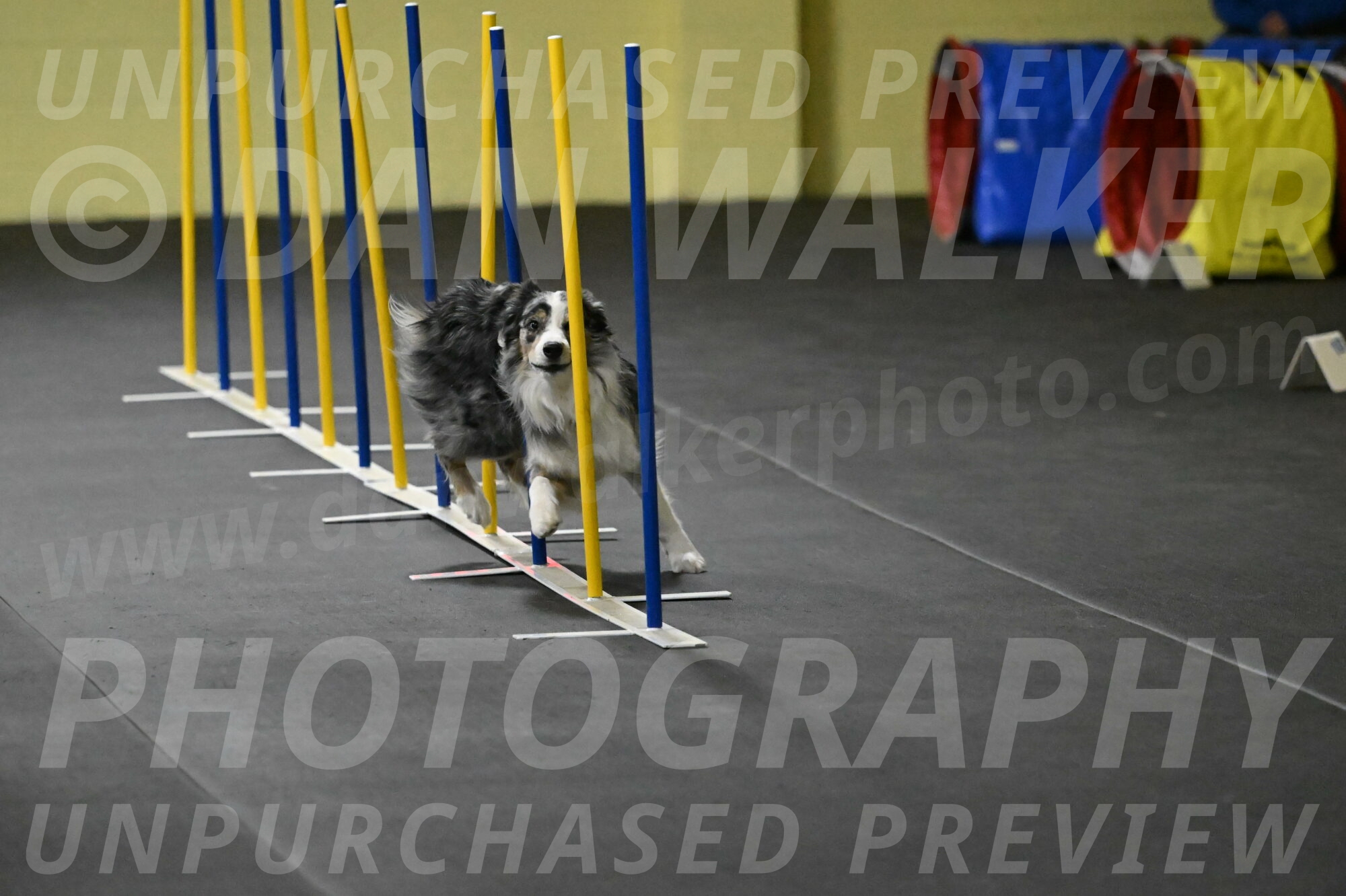 Kaiden-Armbrust-05647