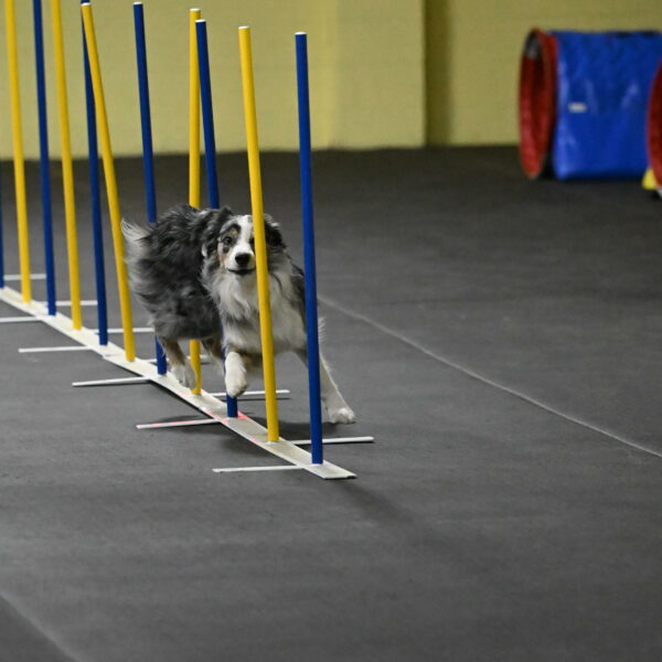 Kaiden-Armbrust-05647