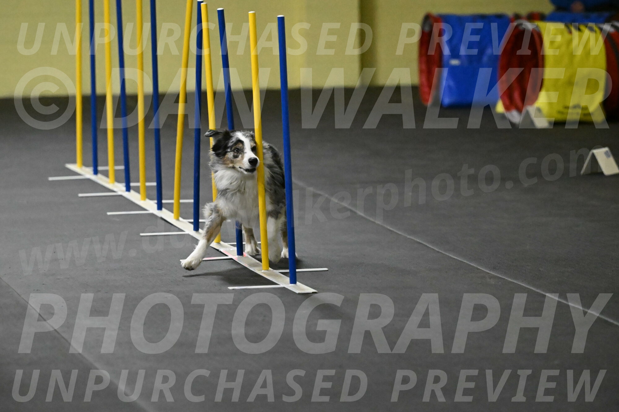 Kaiden-Armbrust-05648